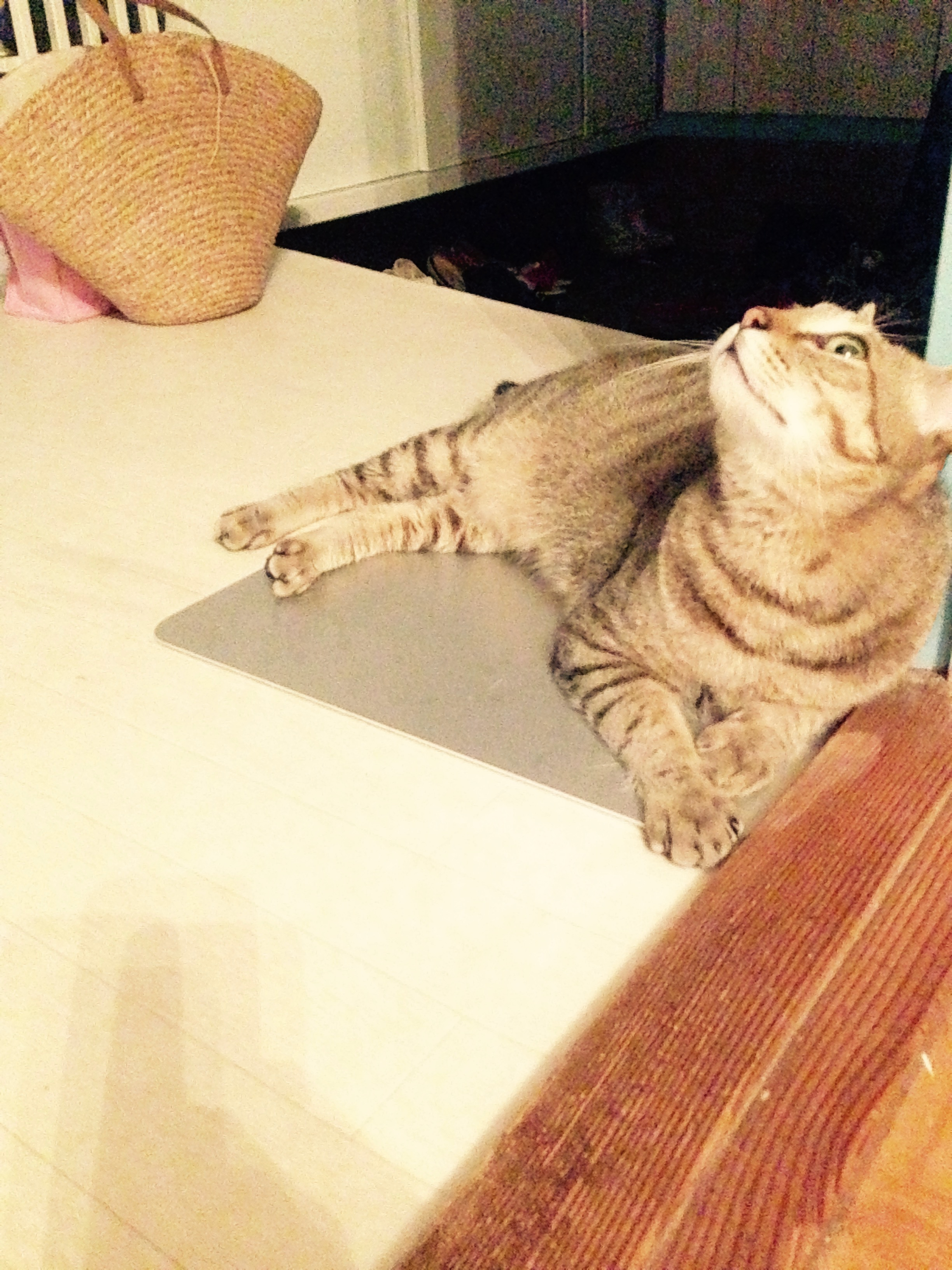 MacBookの上で