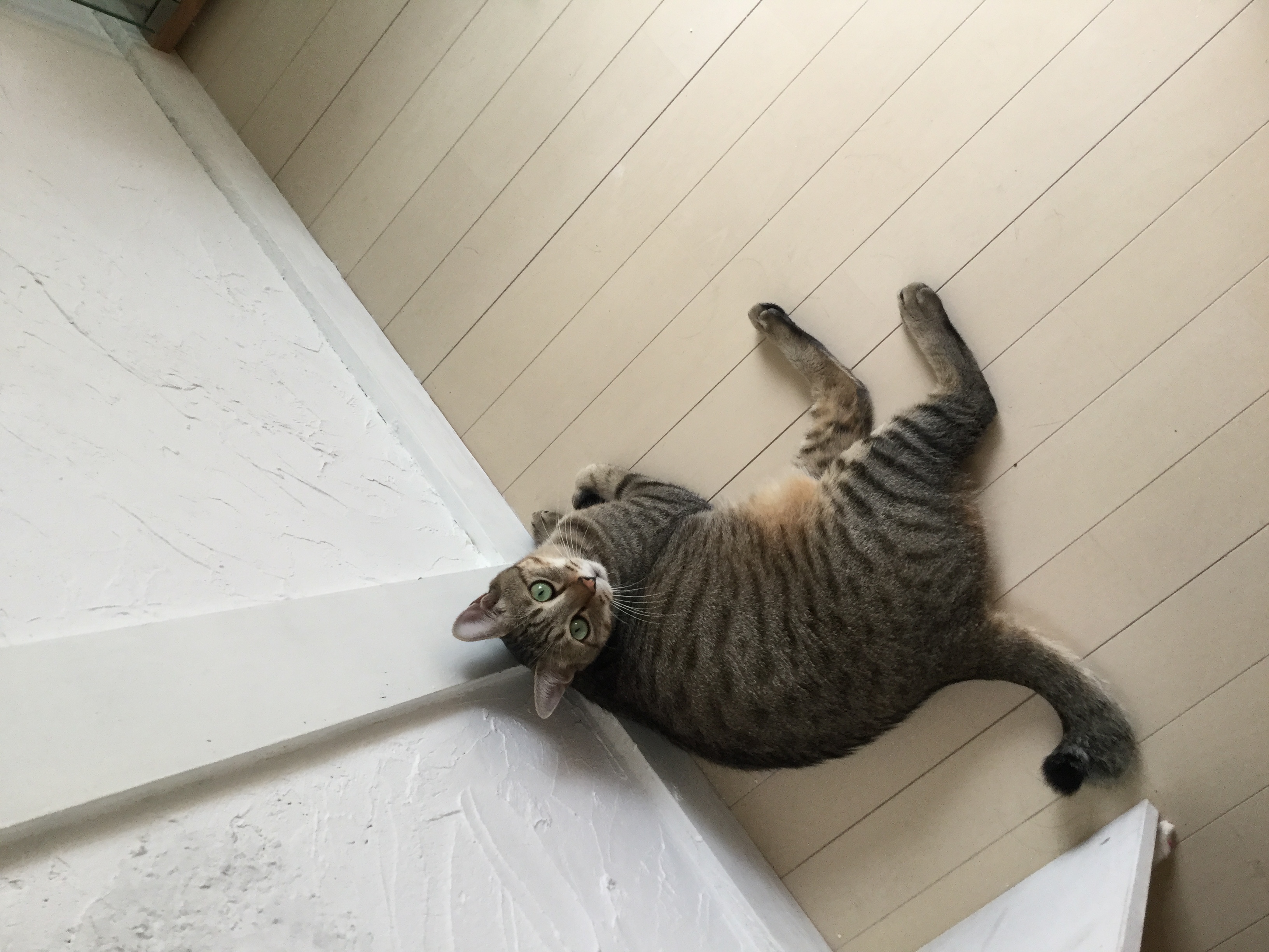 仰向けでリラックス